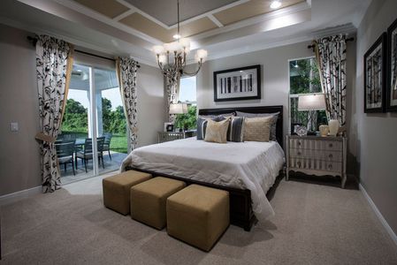 Sawgrass Bay by Home Dynamics Corporation in Clermont - photo 11 11