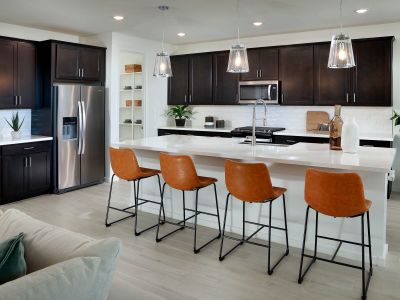 San Tan Groves - Reserve Series by Meritage Homes in San Tan Valley - photo 6 6