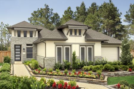 Grand Central Park 40' - Sec. 30 by Coventry Homes in Conroe - photo 6 6