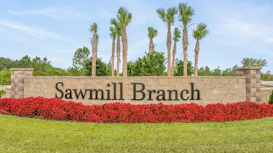 Sawmill Branch Express by D.R. Horton in Palm Coast - photo