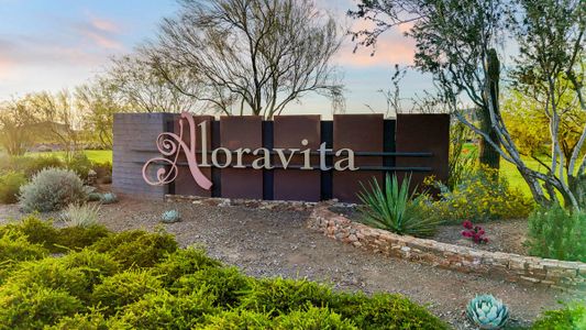 Aloravita by D.R. Horton in Peoria - photo 47 47