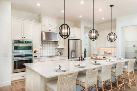 Esplanade at Artisan Lakes by Taylor Morrison in Palmetto - photo 38 38