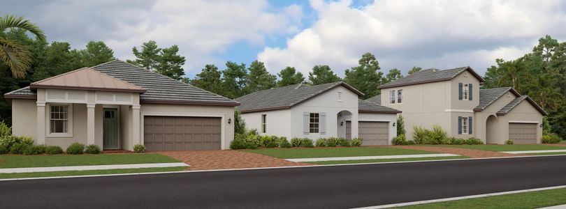Prosperity Lakes Active Adult: Active Adult Manors by Lennar in Parrish - photo