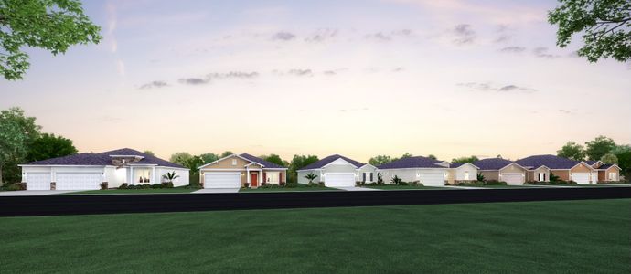 Millwood: Millwood Estates - The Enclave by Lennar in Ocala - photo