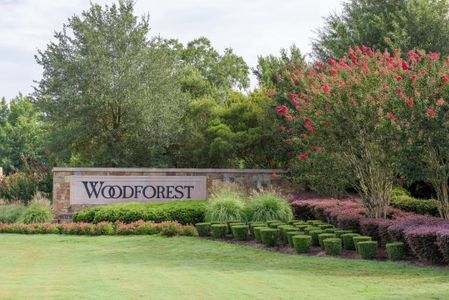 Woodforest – 55' by Westin Homes in Montgomery - photo 3 3