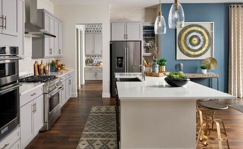 Montaine by Brightland Homes in Castle Rock - photo 8 8
