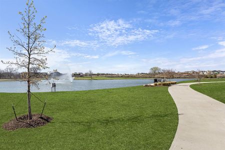 Wellspring Estates by First Texas Homes in Celina - photo 61