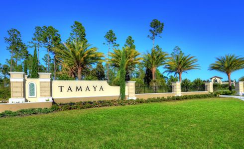 Tamaya by ICI Homes in Jacksonville - photo 0