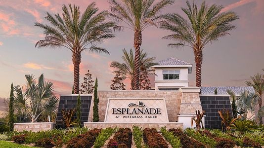Esplanade at Wiregrass Ranch by Taylor Morrison in Wesley Chapel - photo 13 13
