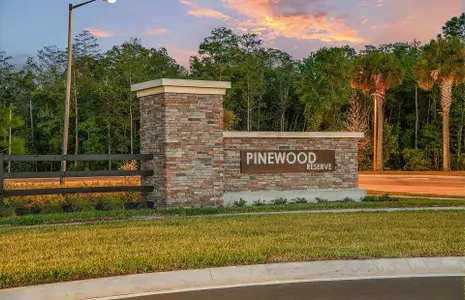 Pinewood Reserve by Pulte Homes in Orlando - photo 29