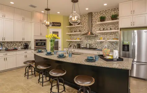 Waterset Cottage Series by David Weekley Homes in Apollo Beach - photo 43