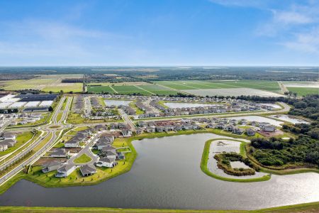 Berry Bay by M/I Homes in Wimauma - photo 11 11