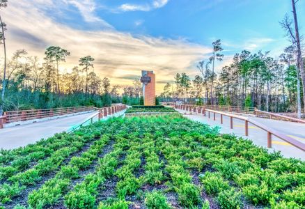 Grand Central Park – 50' by Westin Homes in Conroe - photo 8 8