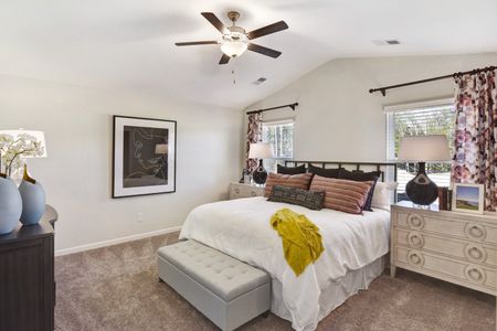 Petterson Meadows by Mungo Homes in Summerville - photo 79 79