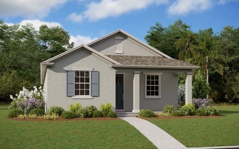 Lakeside at Hamlin by Dream Finders Homes in Winter Garden - photo