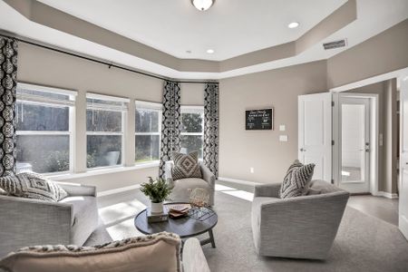 Holly Landing at SilverLeaf by Dream Finders Homes in Saint Augustine - photo 18 18