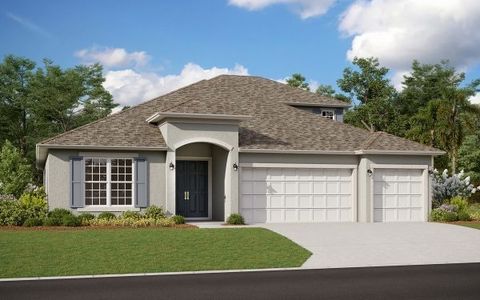 Hills of Minneola by Dream Finders Homes in Clermont - photo 14 14