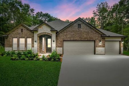 French Quarter On Lake Conroe by DH Homes in Willis - photo 10 10