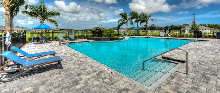 Woodhaven by ICI Homes in Port Orange - photo 7 7