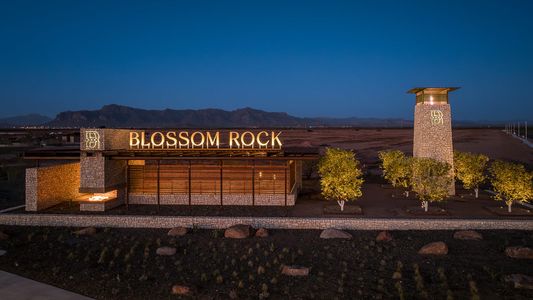 Blossom Rock by Tri Pointe Homes in Apache Junction - photo 1 1