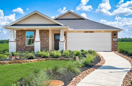 Amira: Hilltop Collection by Beazer Homes in Tomball - photo 9 9