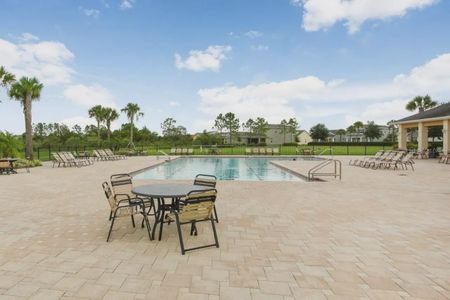 Westgate at Avalon Park by D.R. Horton in Wesley Chapel - photo 6 6