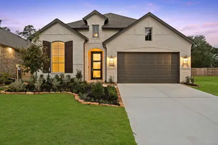 ARTAVIA: 50ft. lots by Highland Homes in Conroe - photo 20 20