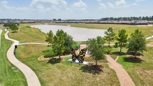 Harrington Trails at The Canopies by D.R. Horton in New Caney - photo 71 71