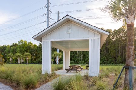 Oak Bluff by Dream Finders Homes in Charleston - photo 29 29