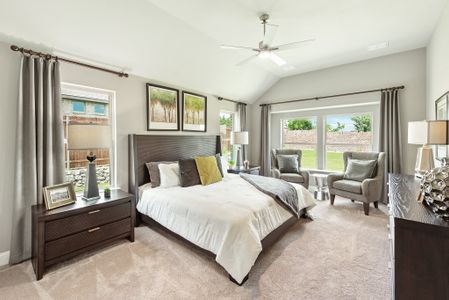 Homestead at Daniel Farms by Bloomfield Homes in DeSoto - photo 89 89