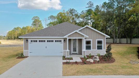 Grand Oaks by Weseman Homes & Renovations in Gainesville - photo 2