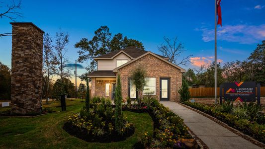 South Meadows by Legend Homes in Willis - photo