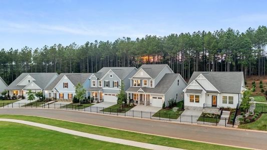 Lakeview Point by True Homes in 21216 Sanctuary Drive, Lancaster, SC 29720 - photo