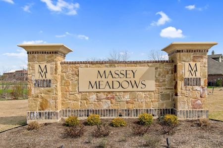 Massey Meadows Phase 2 by Landsea Homes in Midlothian - photo 18 18