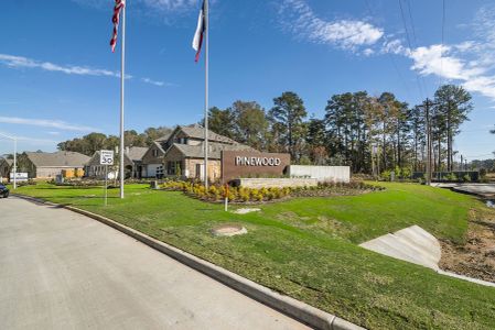 Pinewood at Grand Texas by M/I Homes in New Caney - photo 13 13