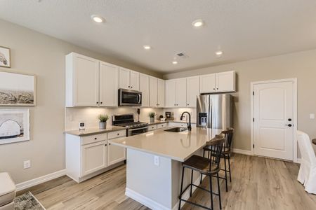 Paired Homes at Anthology North by Century Communities in Parker - photo 16 16