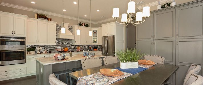 Bexley by ICI Homes in Land O' Lakes - photo 30 30