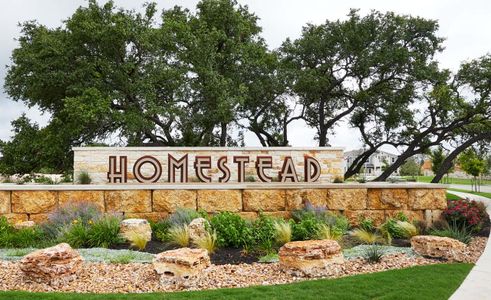 Homestead Townhomes by Brightland Homes in Leander - photo