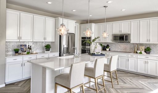 Estates at Arroyo Seco by Richmond American Homes in Buckeye - photo 30 30