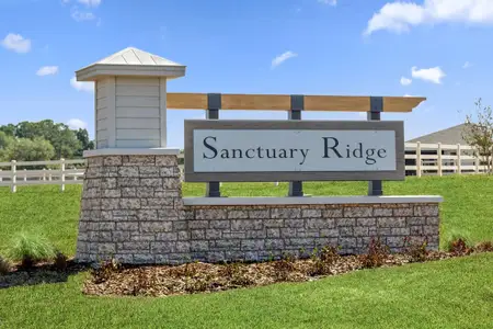 Sanctuary Ridge by KB Home in Wesley Chapel - photo