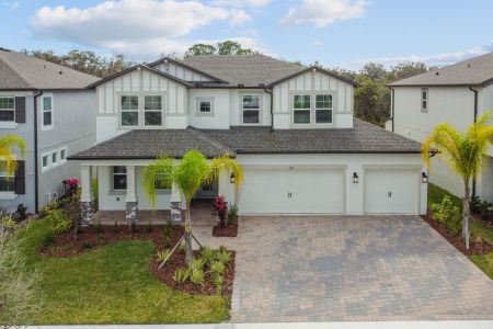 Berry Bay by M/I Homes in Wimauma - photo 41 41