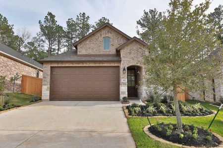 The Woodlands Hills: Artisan Series by Highland Homes in Willis - photo 8 8