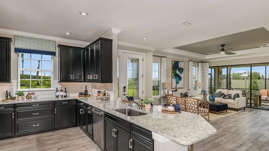 Esplanade at Wiregrass Ranch by Taylor Morrison in Wesley Chapel - photo 80 80