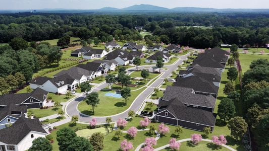 The Courtyards of Franklin Goldmine by Epcon Communities in Cumming - photo
