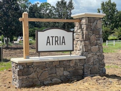 Atria at Ridgewood Lakes by D.R. Horton in Davenport - photo 11