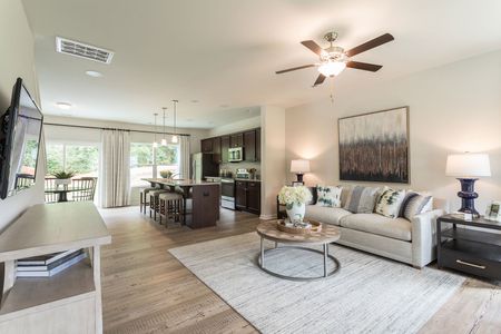 Petterson Meadows by Mungo Homes in Summerville - photo 48 48