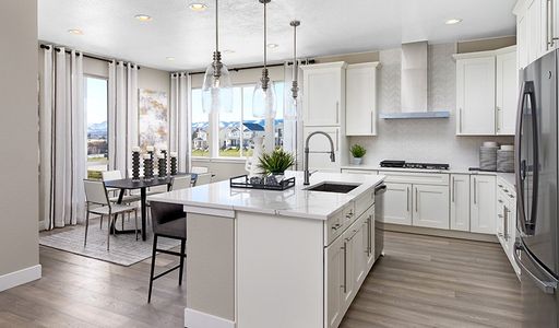 Cityscape at Haskins Station by Richmond American Homes in Arvada - photo 38 38