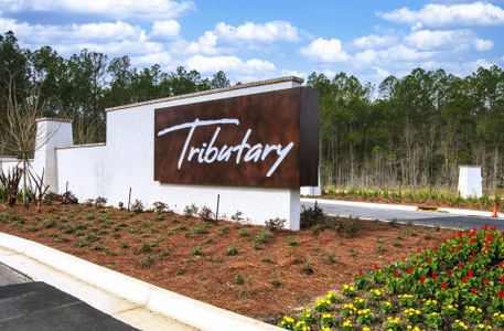 Tributary by Dream Finders Homes in Yulee - photo 3 3