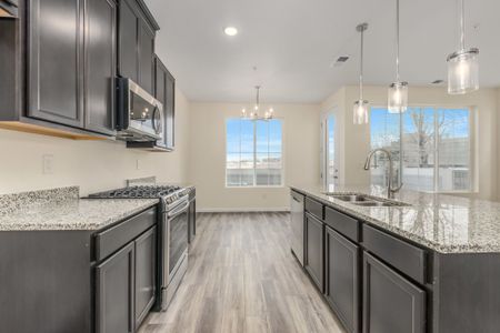 Stonegate Condos by Lokal Homes in Parker - photo 33