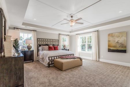 Hewing Farms by Mungo Homes in Summerville - photo 93 93